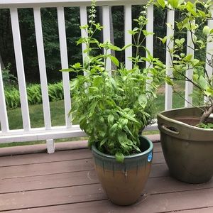 Meet your Posher, Justine